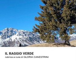 raggio verde