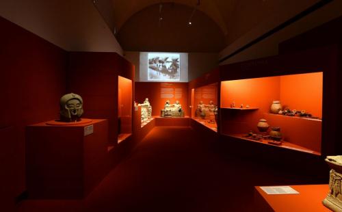 L'allestimento al Museo Civico Archeologico di Bologna 