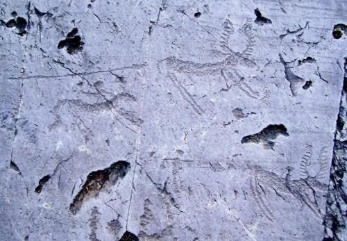 Le scritture rupestri della Valcamonica