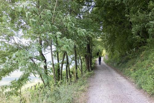 Around The Walk - Bassa Atesina