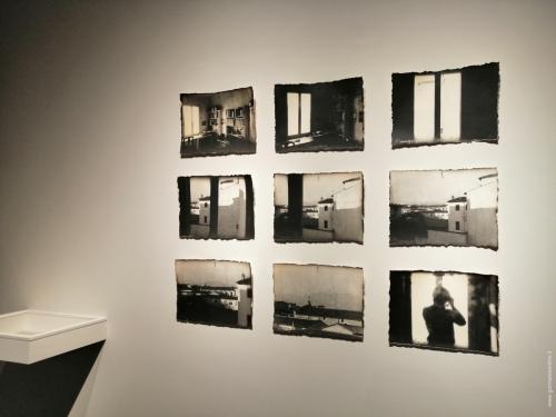 L'iconografia e l'iconoclasta, 1977
