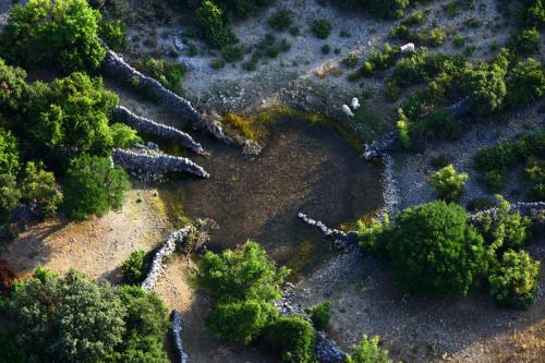 Pecore verso le antiche pozze di Tramuntana