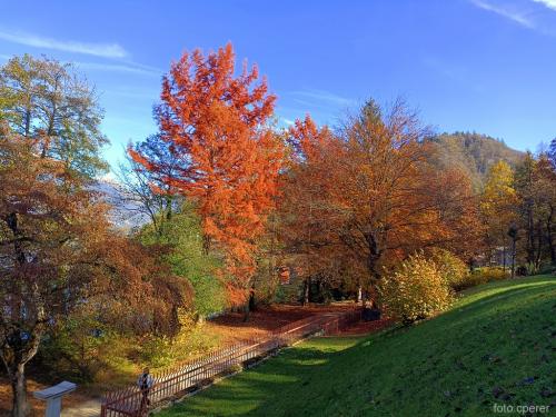 Il sontuoso parco