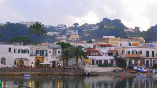 Ischia, colori e natura lussureggiante  (foto C.Perer)