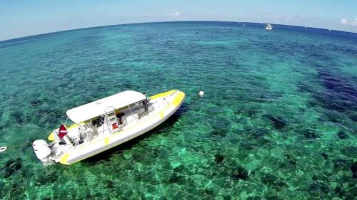 Un mare fantastico