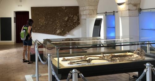 Importanti reperti al Museo di Civiltà Preclassiche della Murgia Meridionale