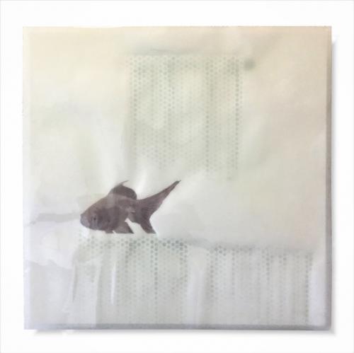 ''Silence of water'' di Andrea Mazzola 