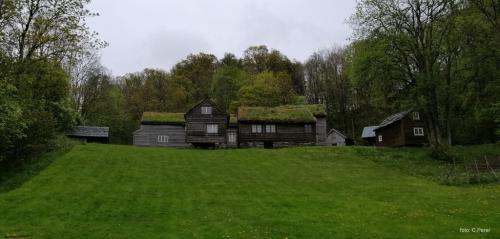 Antico insediamento vichingo a Bergen