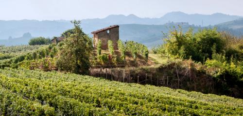 I paesaggi del Roero, patrimonio Unesco