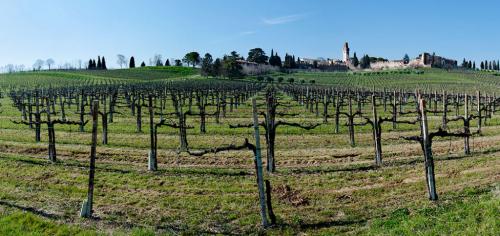 Sono oltre mille anni che il nome dei Collalto viene associato alla terra trevigiana