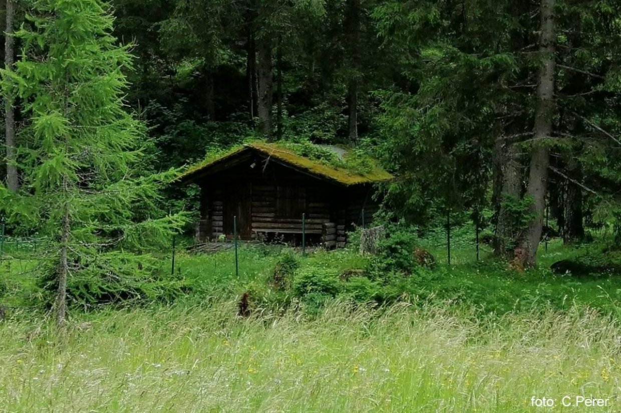 Malga Ciapela - Passeggiata lungo il Pettorina Malga Ciapela - Passeggiata lungo il Pettorina