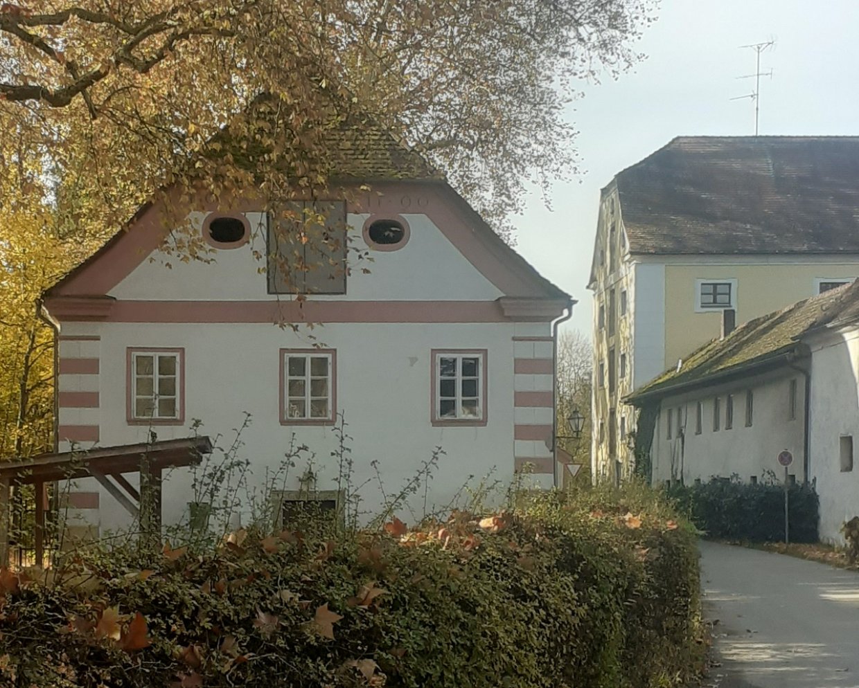 foto di Gloria Canestrini foto di Gloria Canestrini