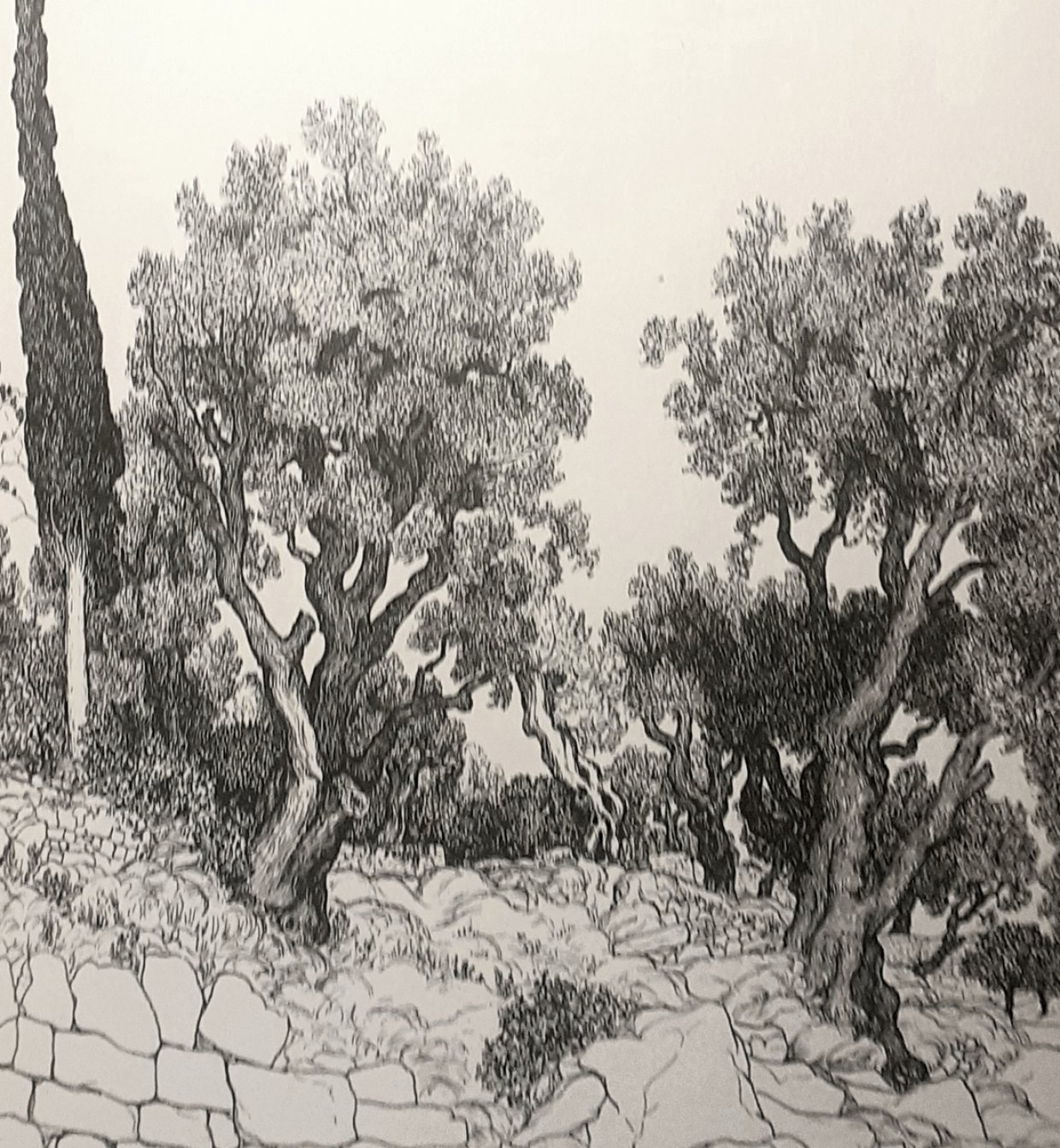 testo immagini di Gloria Canestrini testo immagini di Gloria Canestrini