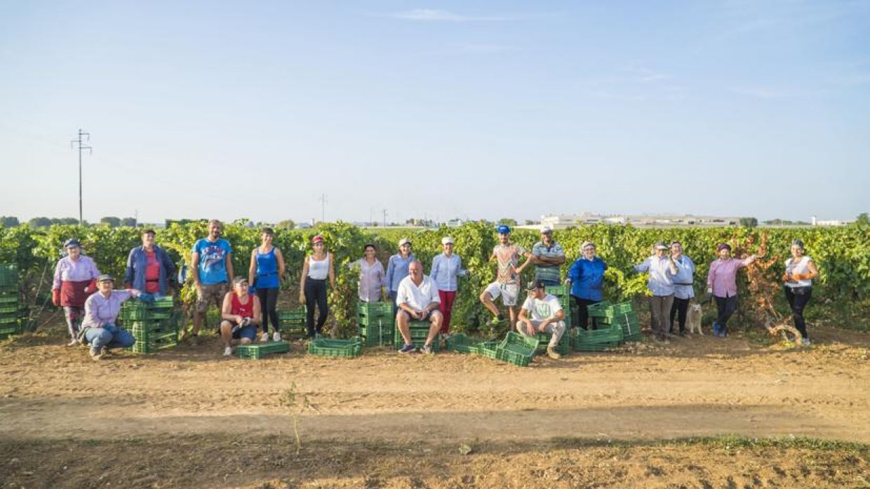 Schiena vini produce il Rugiada